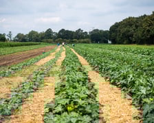 Miejska Farma Wrocławia